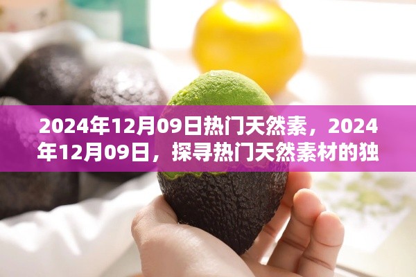 探寻热门天然素材的独特魅力,2024年12月9日天然素材流行趋势解析