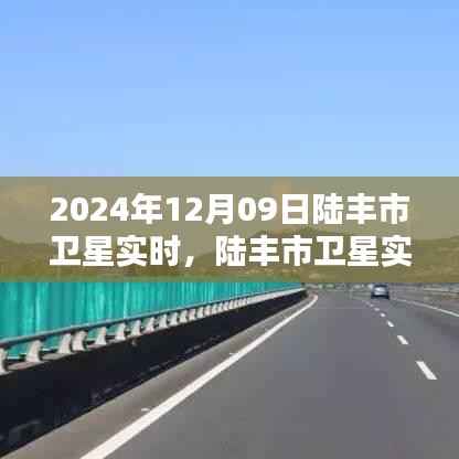 陆丰市卫星实时观测报告,探索星空下的奇迹,2024年12月09日