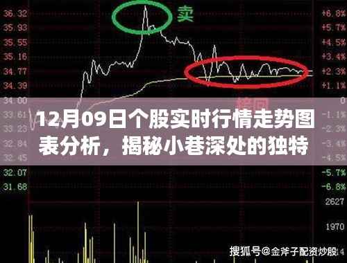 揭秘股市波动背后的特色小店故事,实时行情走势图表分析与小巷深处的独特风味探索(12月09日)