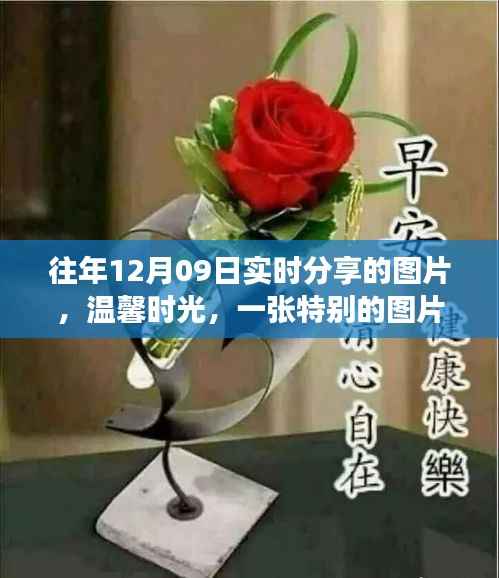 xizhaiwangqi 第4页