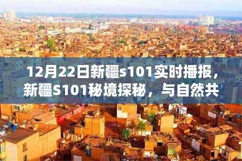 新疆S101秘境探秘,与自然共舞的日子实时播报(12月22日)