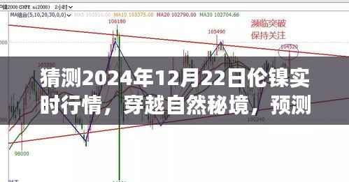 伦镍行情预测与心灵之旅,穿越自然秘境,探索2024年伦镍实时行情的奇妙交织
