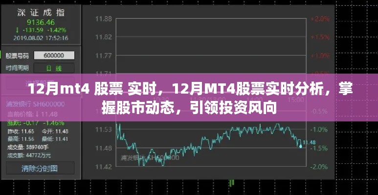 12月MT4股票实时分析,掌握股市动态,引领投资风向标
