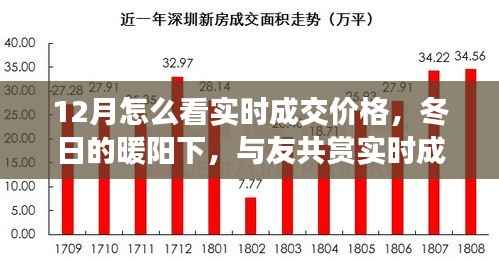 冬阳下的实时成交价格探索之旅,与友共赏奇妙之旅