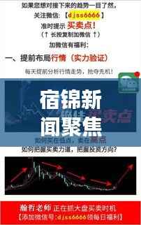 宿锦新闻聚焦时事热点,解读地方发展新动态