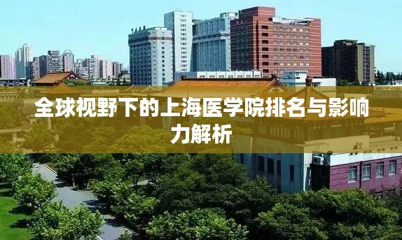 全球视野下的上海医学院排名与影响力解析