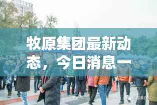 牧原集团最新动态,今日消息一网打尽