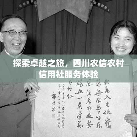 探索卓越之旅,四川农信农村信用社服务体验