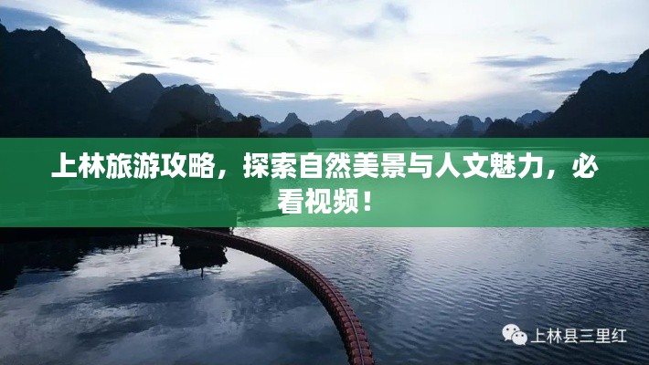 上林旅游攻略,探索自然美景与人文魅力,必看视频!