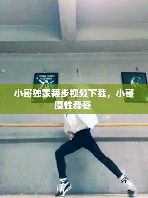 小哥独家舞步视频下载,小哥魔性舞姿