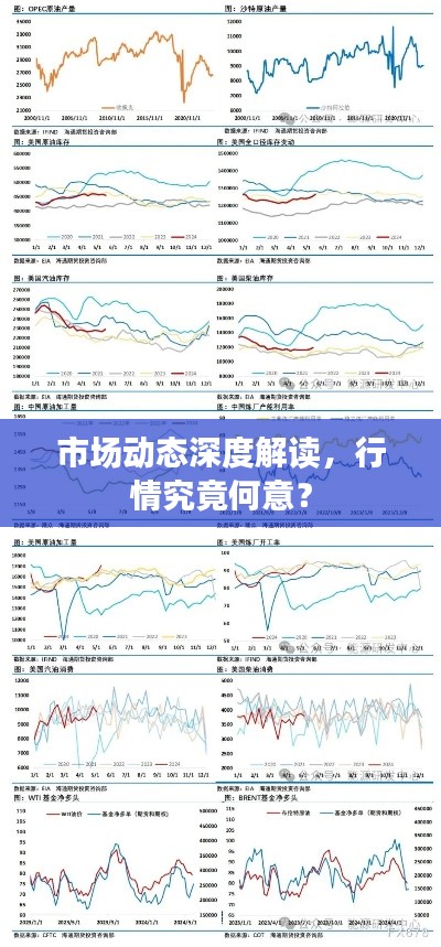市场动态深度解读,行情究竟何意?