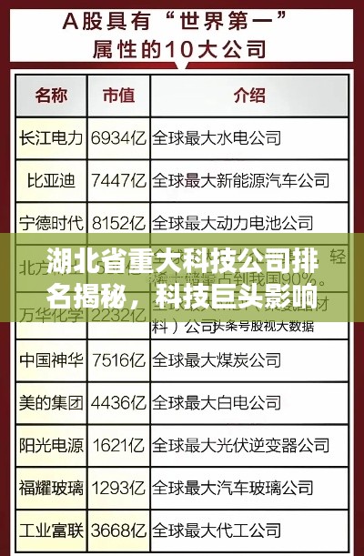 湖北省重大科技公司排名揭秘,科技巨头影响力与实力解析