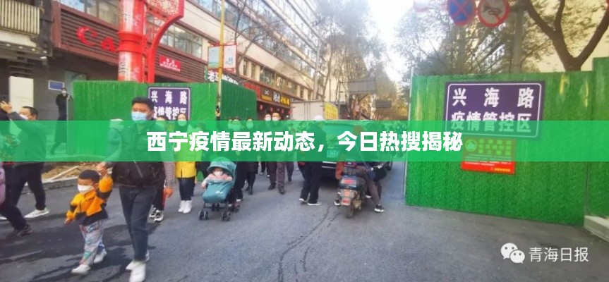 西宁疫情最新动态，今日热搜揭秘