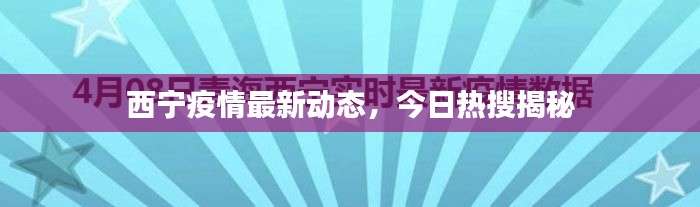 西宁疫情最新动态,今日热搜揭秘