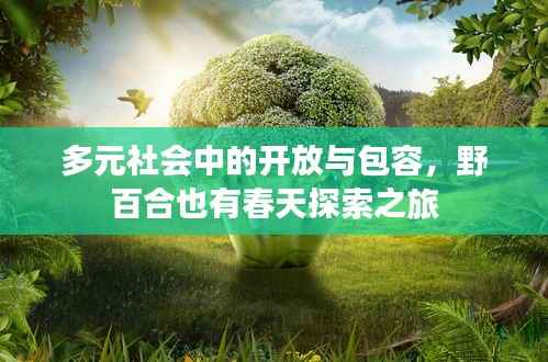 多元社会中的开放与包容,野百合也有春天探索之旅