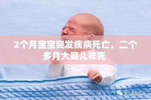2个月宝宝突发疾病死亡,二个多月大婴儿猝死