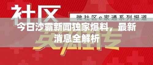 今日沙霸新闻独家爆料,最新消息全解析