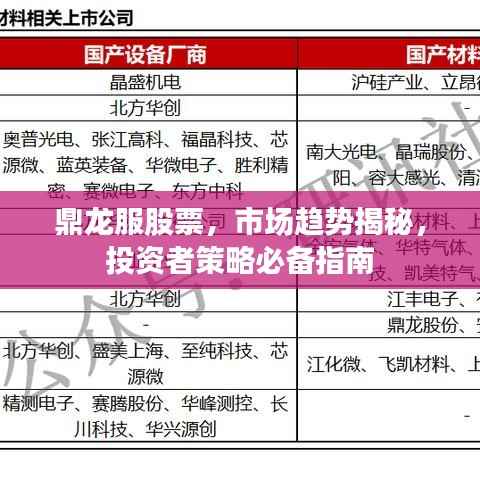 鼎龙服股票,市场趋势揭秘,投资者策略必备指南