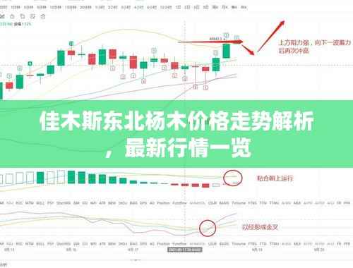 佳木斯东北杨木价格走势解析,最新行情一览