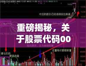 重磅揭秘,关于股票代码002294的全面深度解读与分析