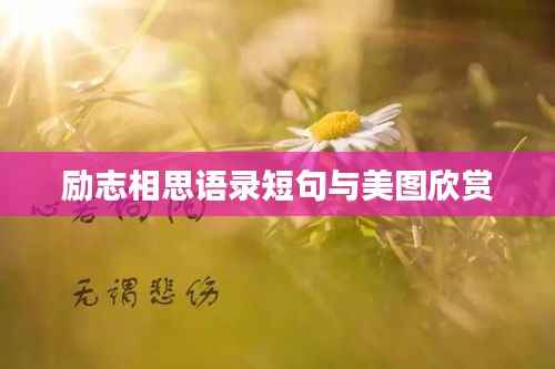 新闻中心 第85页