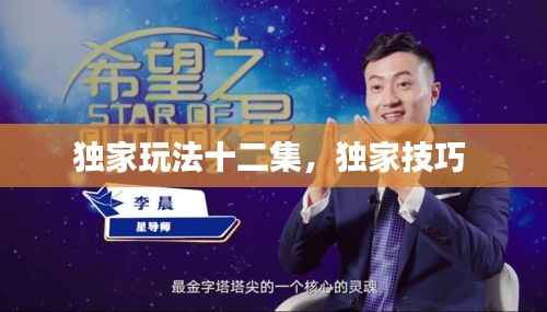独家玩法十二集,独家技巧