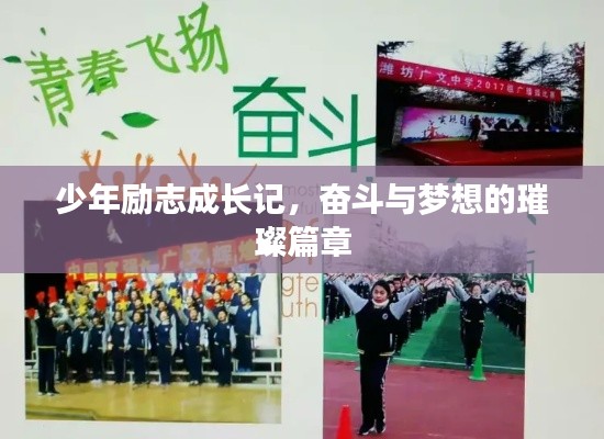 少年励志成长记,奋斗与梦想的璀璨篇章