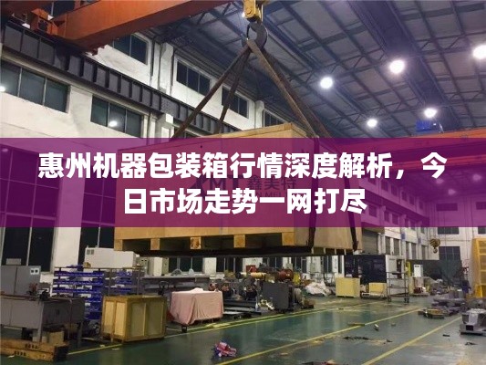 惠州机器包装箱行情深度解析，今日市场走势一网打尽