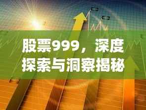 股票999，深度探索与洞察揭秘