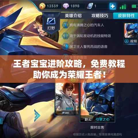 王者宝宝进阶攻略,免费教程助你成为荣耀王者!
