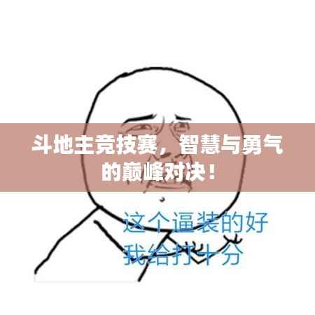 斗地主竞技赛,智慧与勇气的巅峰对决!