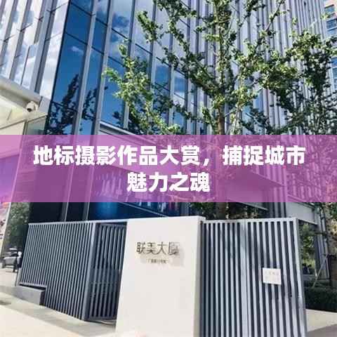 地标摄影作品大赏,捕捉城市魅力之魂