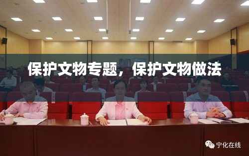 保护文物专题,保护文物做法