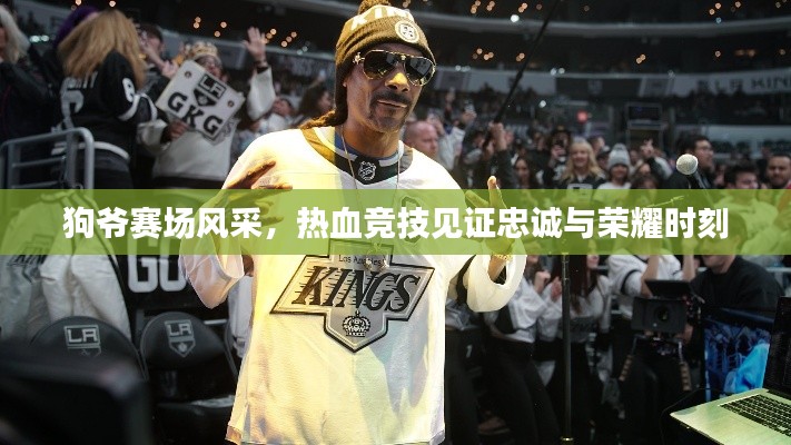 狗爷赛场风采,热血竞技见证忠诚与荣耀时刻