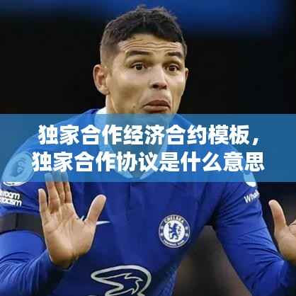 独家合作经济合约模板,独家合作协议是什么意思