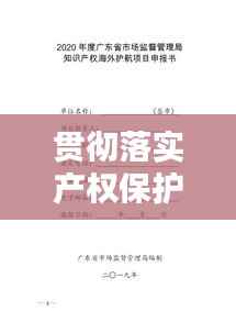 贯彻落实产权保护,产权保护机制