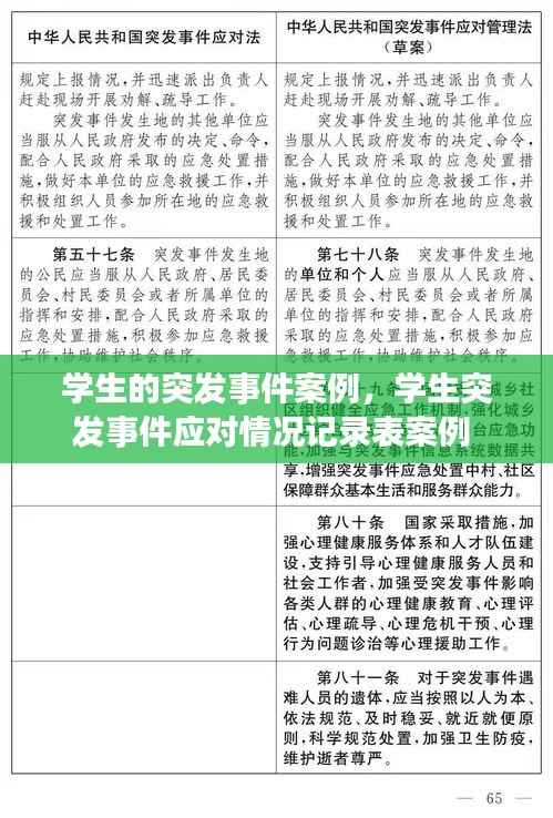 学生的突发事件案例,学生突发事件应对情况记录表案例