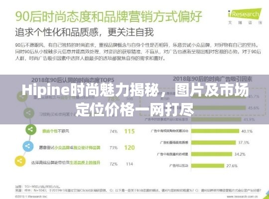 Hipine时尚魅力揭秘，图片及市场定位价格一网打尽