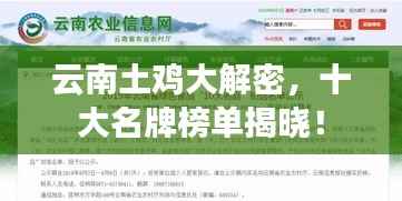 云南土鸡大解密,十大名牌榜单揭晓!
