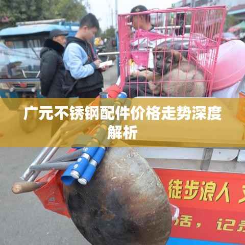 新闻中心 第52页