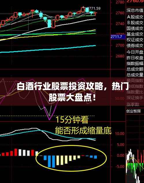 新闻中心 第51页