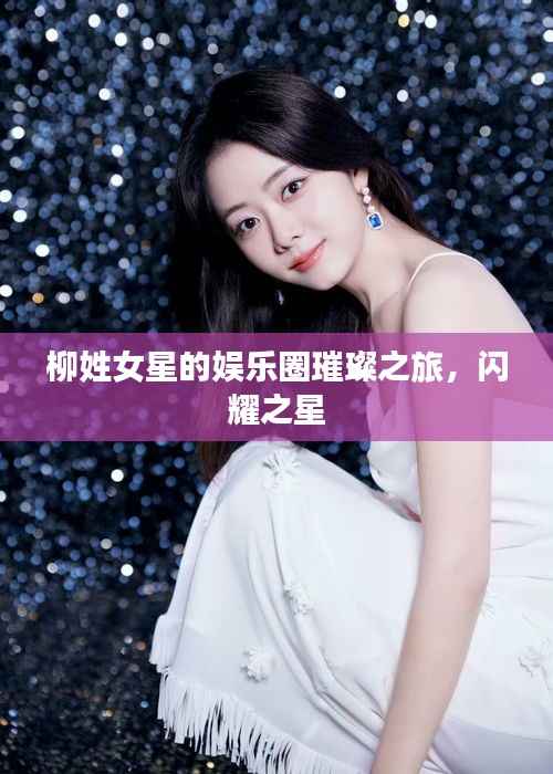 柳姓女星的娱乐圈璀璨之旅,闪耀之星