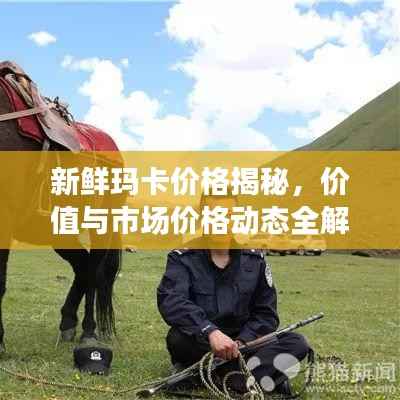 新鲜玛卡价格揭秘,价值与市场价格动态全解析